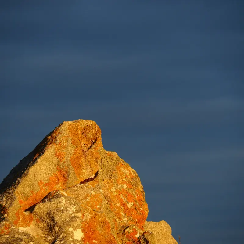 FINISTERE 62