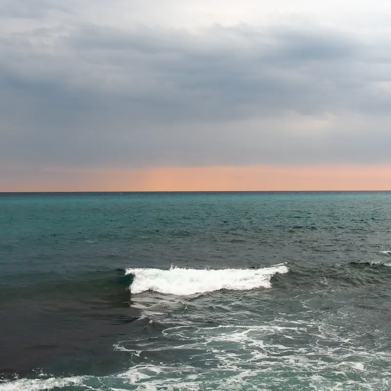 CASSIS