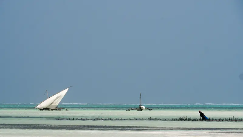 ZANZIBAR